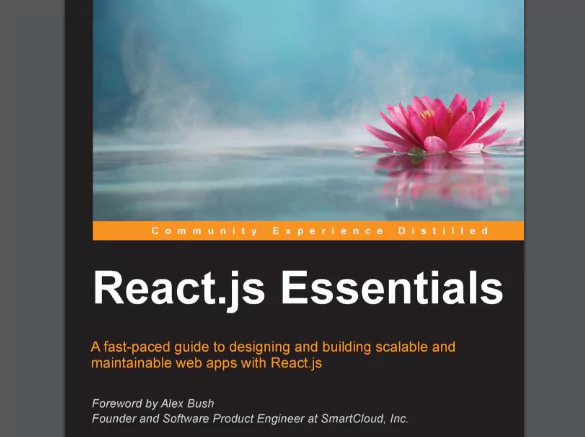 react.js essentials