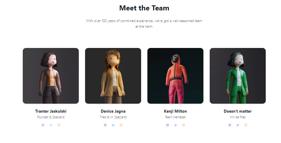 meet the team section