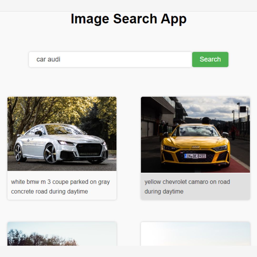 55+ Web Development Projects - Search Image App