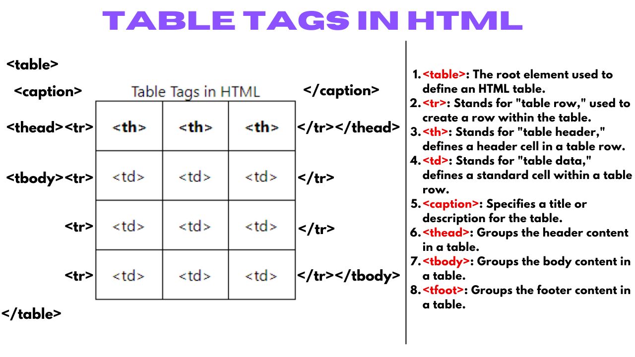 Mastering The Table Tag In Html A