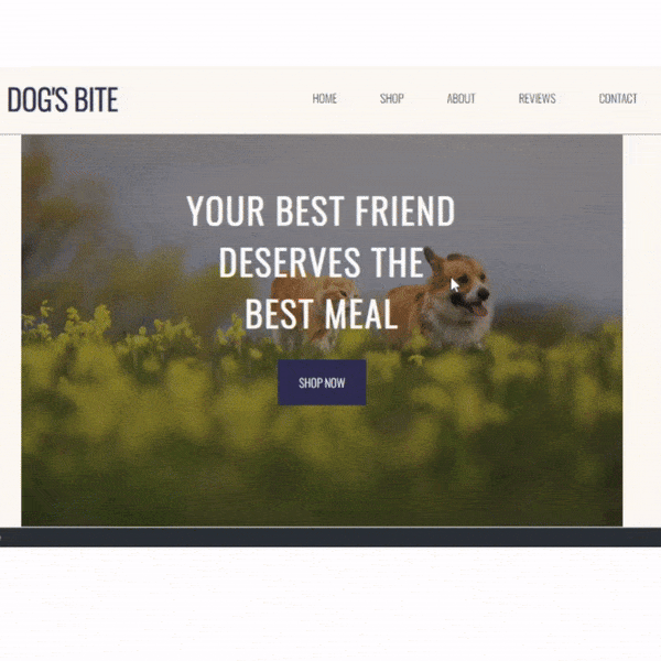 crafting-an-engaging-pet-food-shop-template-html-css-javascript.gif