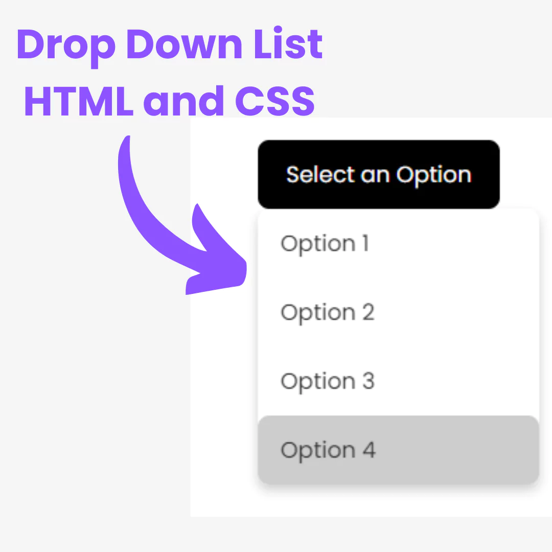 How to Create a Dropdown List with HTML and CSS