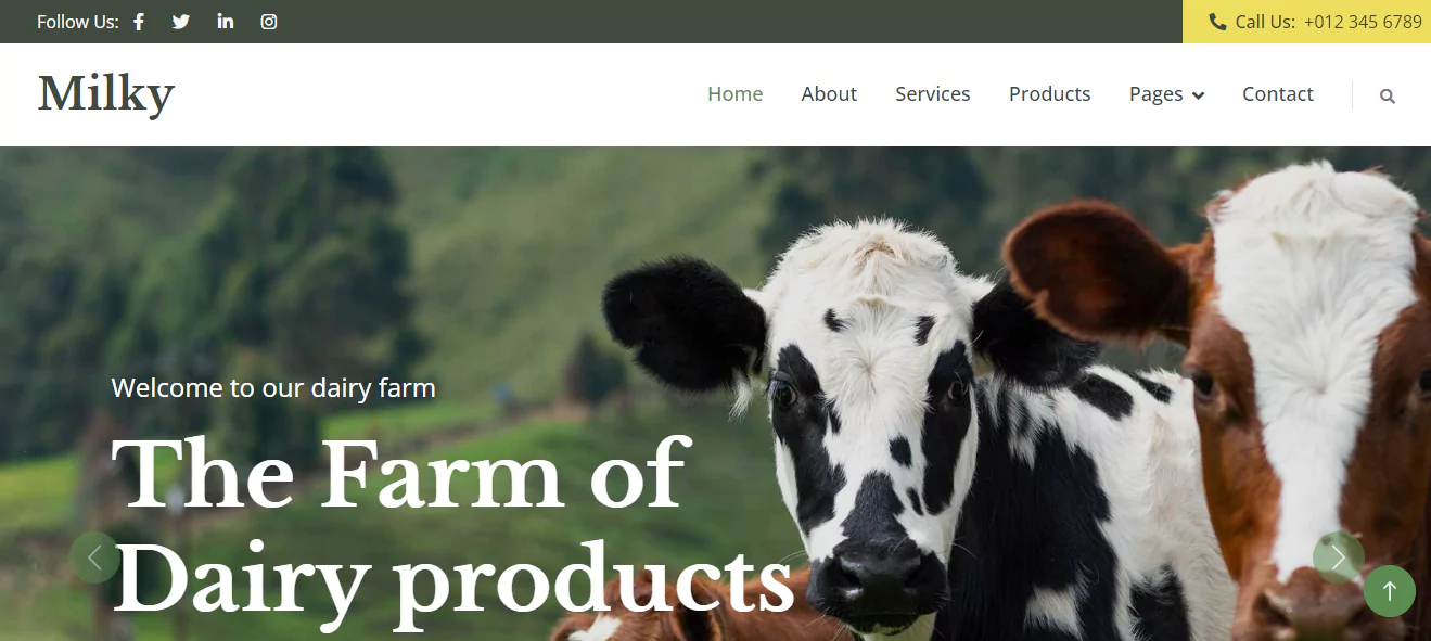 dairy-website-template